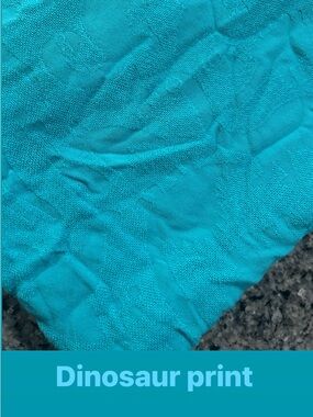 Tula baby Dinosaur Print blanket